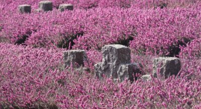 Lęk przed wojną – Jak go zrozumieć, przezwyciężyć i żyć z nadzieją na pokój