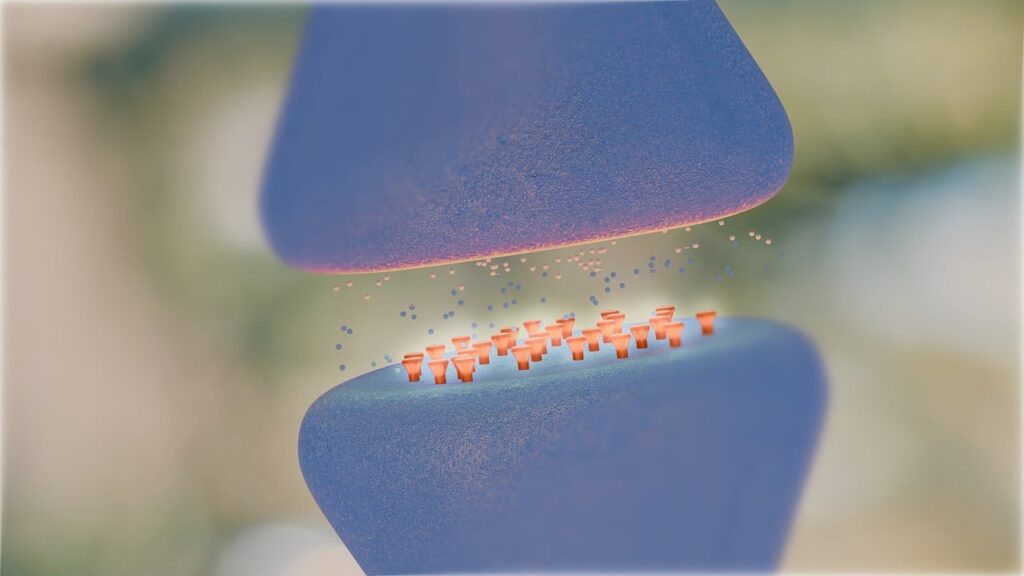 Mechanizmy neurobiologiczne stresu chronicznego