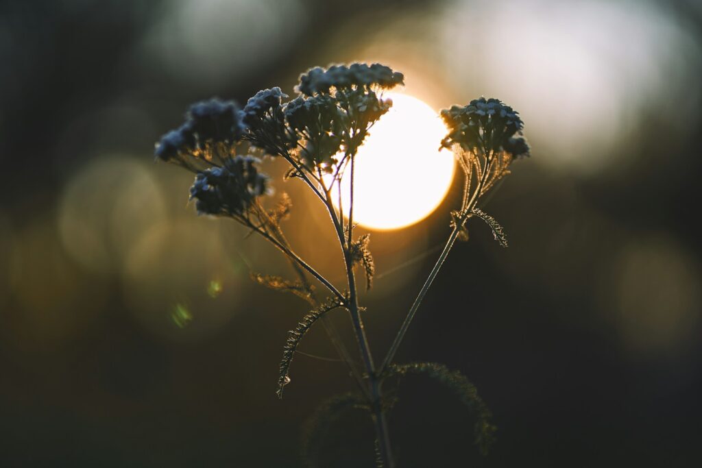 koniec lęku przed wojną