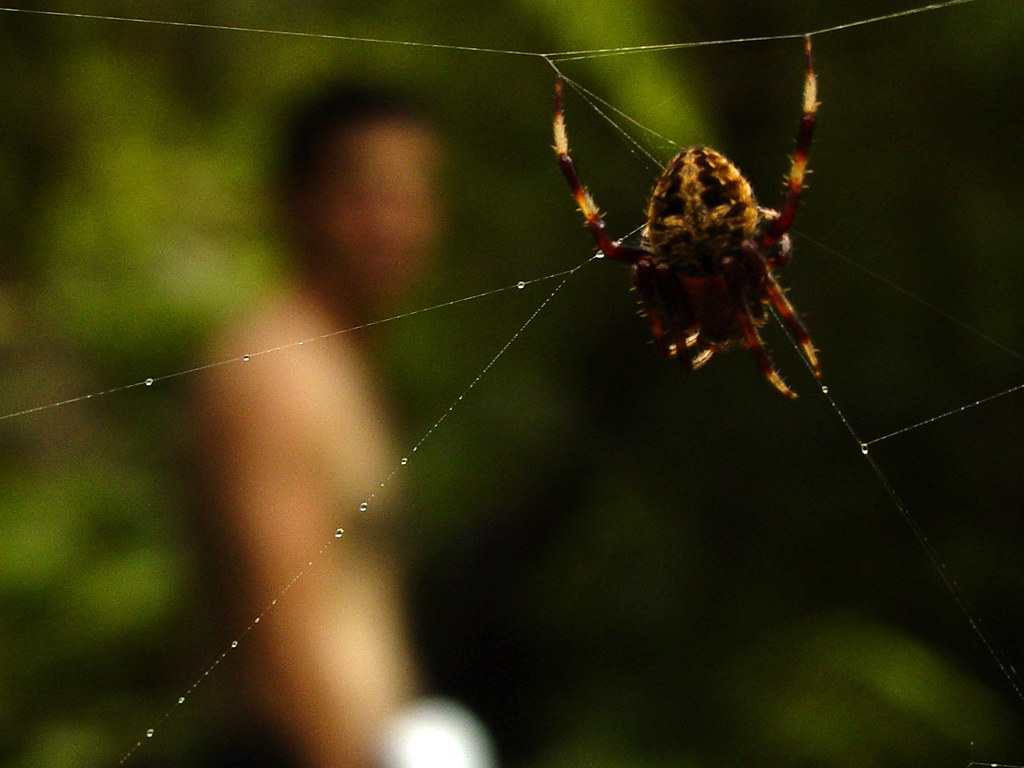 lęk uogólniony i jego wpływ na życie