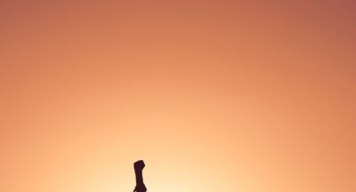 Strengthsfinder – narzędzie odkrywania talentów, budowania samoświadomości i rozwijania naturalnych przewag, które prowadzą do sukcesu, spójności i autentycznego działania