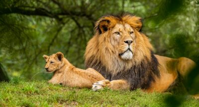 Symbol siły – głęboka opowieść o tym, co naprawdę oznacza wewnętrzna moc, jak rodzi się odporność psychiczna i dlaczego symbole pomagają człowiekowi przetrwać trudne momenty