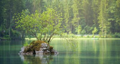Afirmacja spokoju – jak słowa mogą stać się kotwicą, która wycisza lęk, uspokaja ciało, rozluźnia umysł i przywraca równowagę w świecie pełnym bodźców