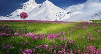 Medytacja na uspokojenie – jak wejść w stan głębokiego wyciszenia i odzyskać stabilność, nawet gdy myśli pędzą jak szalone