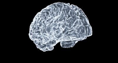 Za co odpowiada prawa półkula mózgu?