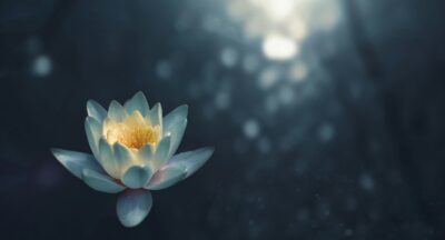 Medytacja AA – najgłębsze, obszerne opracowanie praktyki, która wspiera trzeźwość, wewnętrzną równowagę i odbudowę życia krok po kroku