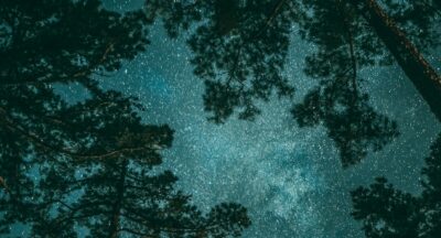 Metoda manifestacji – jak działa proces świadomego tworzenia rzeczywistości, jak go stosować krok po kroku i dlaczego skuteczność zależy przede wszystkim od podświadomości, emocji i energii